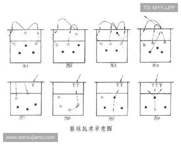 杭州排球队中路突破战术解析与未来发展展望
